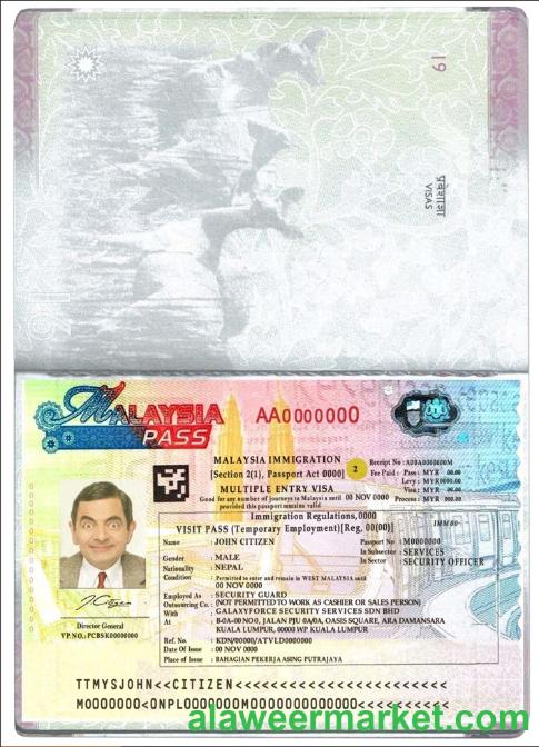 Malaysia multiple entry visa